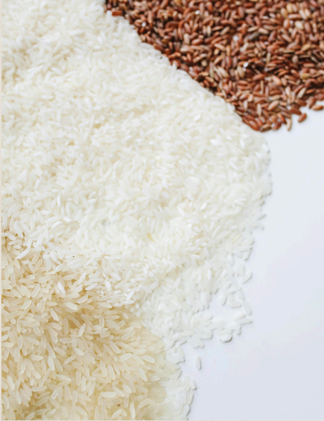 مقارنة حبات الأرز